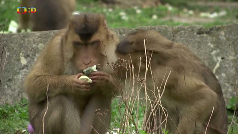 Zprávičky - 27. března 2024