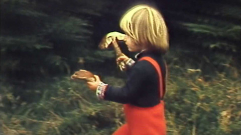 Archiv dne - 5. říjen 1981: Houby rostou