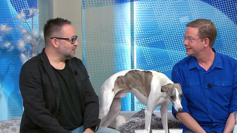 Dobré ráno - 21. prosince 2021