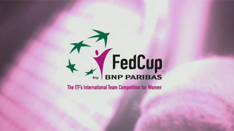 Fed Cup 2012