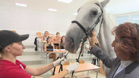 Regiony ČT24 - 7. září 2024