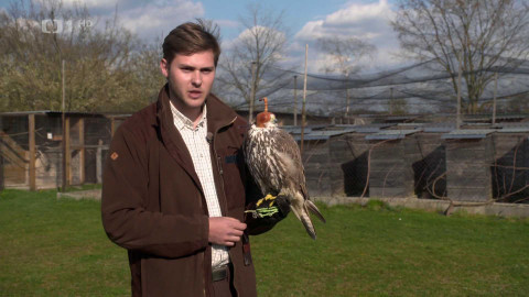 Hobby naší doby - 24. května