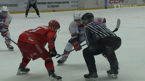 1. česká hokejová liga mužů - Maxa liga - souhrn