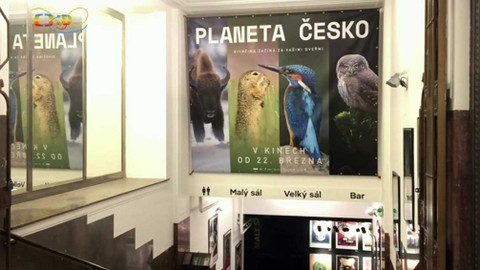 Zprávičky - 22. března 2018