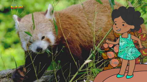 Velká kniha o zvířátkách - Epizoda 6/52