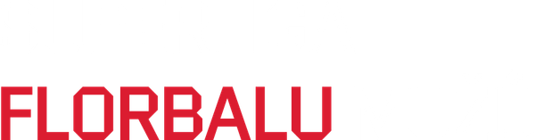 Superliga florbalu mužů