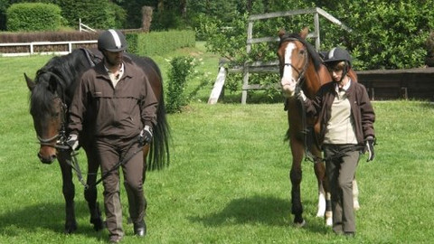 Království za koně - Epizoda 8/9