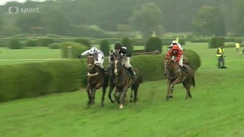 Turf - 20. srpna 2014