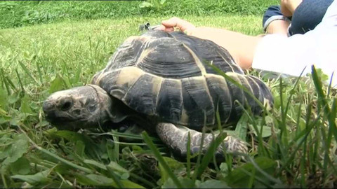 Nejlepší česká škola - Liberecký kraj