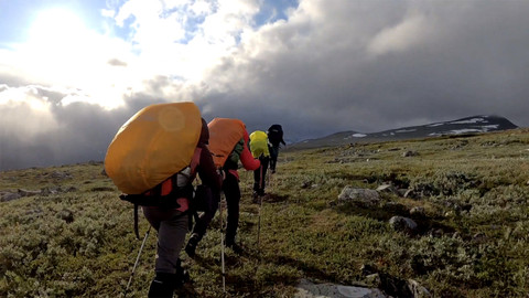 Nedej se! - Čeští antropologové za polárním kruhem