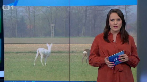 Týden v regionech (Ostrava) - 24. dubna 2021