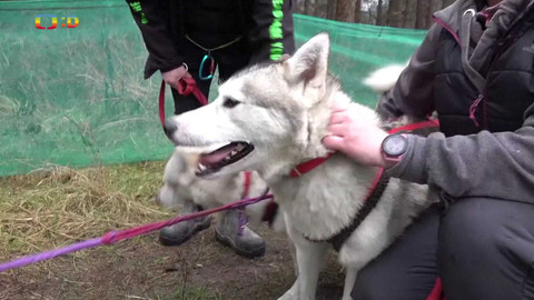 Zprávičky - 25. února