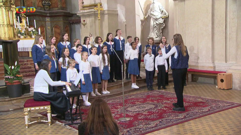 Zprávičky - 24. května