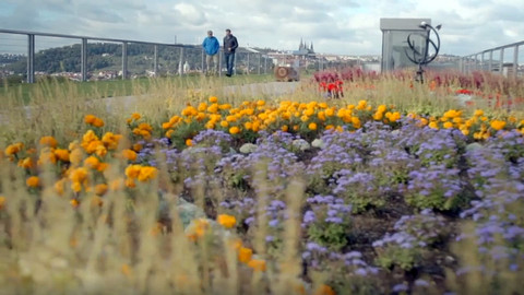 Co naše babičky uměly a na co my jsme zapomněli - Med