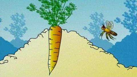 Popularis - 27. května 2004