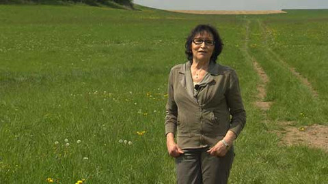 Chcete mě? - 18. května 2014