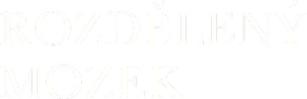 Rozdělený mozek