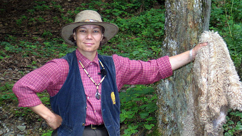 Cesta ke kameni - 6/6 Cesta za zlatem