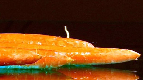 Pod pokličkou - Natě, bulvy, kořeny pro tělo jsou stvořeny