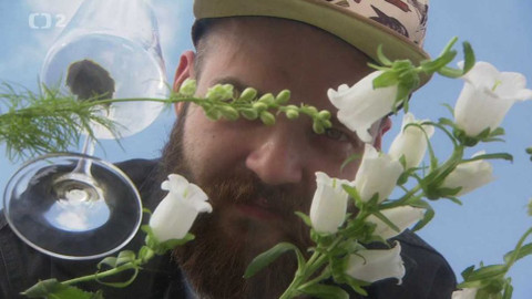 Babylon - 24. června 2017