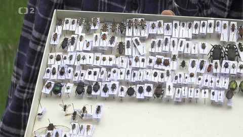 Nedej se! - Věda nejen pro vědce