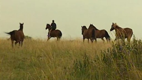 Rodinné křižovatky - Neviditelná pouta