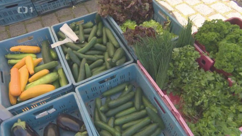 Černé ovce - 26. září 2023