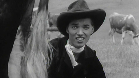 Roháčovy a Svitáčkovy písničky - Zdvořilý Woody