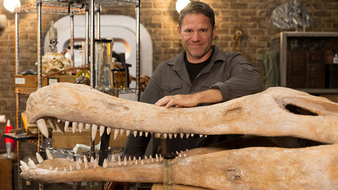 Nebezpečný svět dinosaurů - 6/10 Vodní příšery