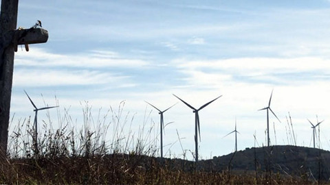 Intolerance - Vítr, který zplenil zemi