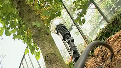 Zahrada je hra - 1. prosince 2005