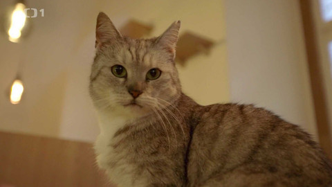 Máme rádi zvířata - 24. dubna 2023