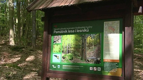 Toulavá kamera - 12. června 2016