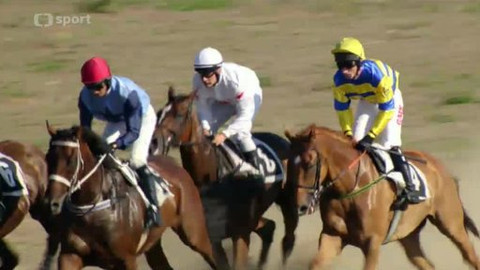 Turf - 31. července 2013