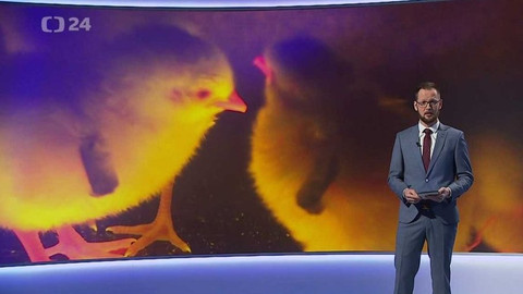 Věda 24 - 16. února 2020