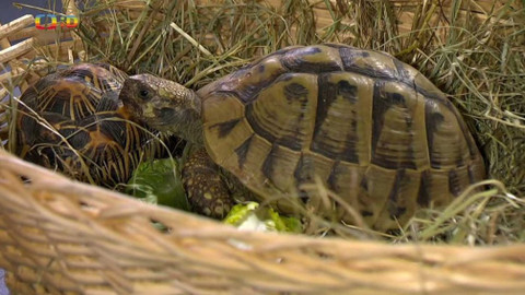 UčíTelka - Člověk a jeho svět