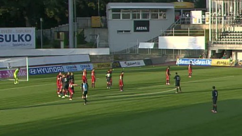 Fotbal - Česko - Wales