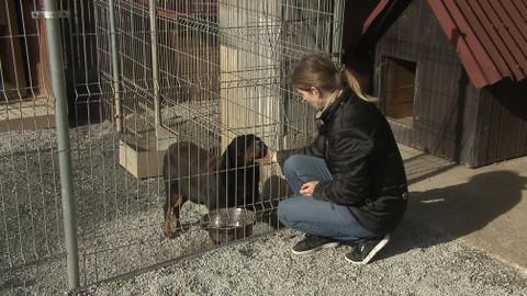 Chcete mě? - 22. března 2020