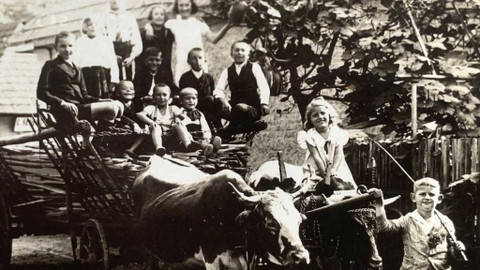 Kvarteto - Domov nekončí za dveřmi bytu