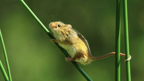 Planeta Praha: co ve filmu nebylo - 5/5 Ze zákulisí