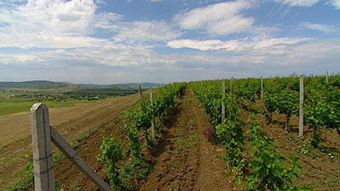 Putování za vínem - 14/16 Rumunsko I.