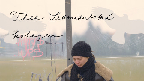 Jedna báseň - Thea Sedmidubská