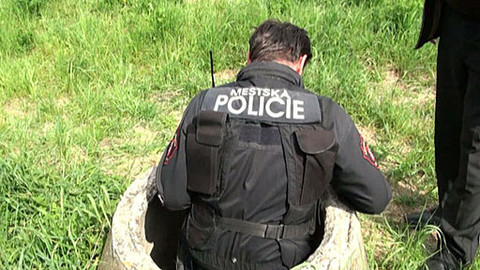 Chcete mě? - 5. června 2011