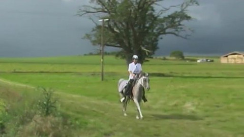 Jezdectví - MS v jezdecké vytrvalosti Velká Británie