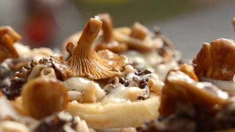 Co naše babičky uměly a na co my jsme zapomněli - Jarní houby