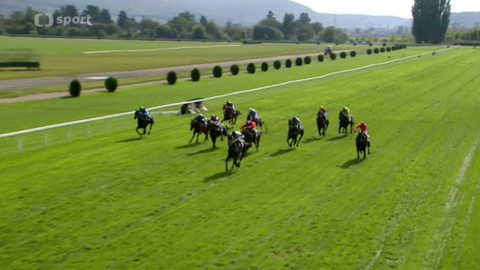 Turf - 28. září 2016