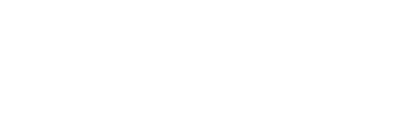 Cizí syn