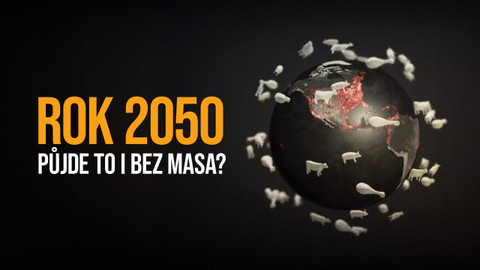 Rok 2050 - půjde to i bez masa?