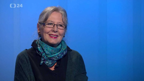 Interview ČT24 - 5. června 2021