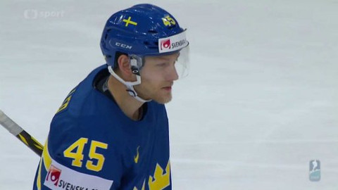 MS v ledním hokeji 2015 Česko - Česko - Švédsko